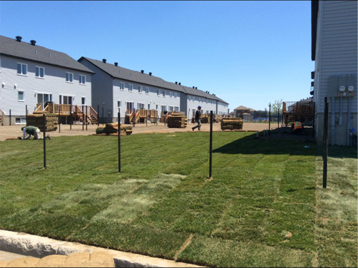 Cour construit avec terrain de gazon